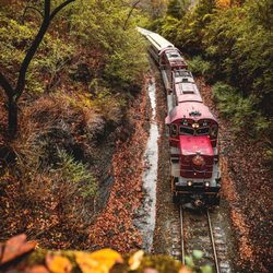 Arkansas Missouri Railroad - Ride the A&M in the fall for views like this!