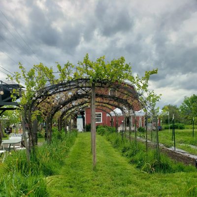 Midway Farms | Fresh Goods | Albany by null