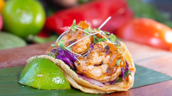 5 Tacos and Beers by null