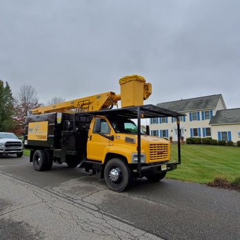 Cypress Tree Service - Tree Services Near Me - Byram Township, New Jersey Cypress Tree Service - Tree Services Near Me - Byram Township, New Jersey