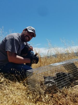 Pest Control - Each of our rodent control technicians have undergone thorough training and qualifications to provide you with the fantastic service you expect. Pest Control - Each of our rodent control technicians have undergone thorough training and qualifications to provide you with the fantastic service you expect.