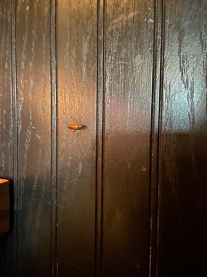 Jack's Sankofa Square by null