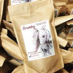 Buzzed Brumby
