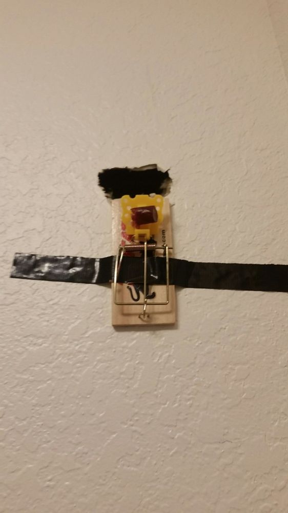 PARK CENTRAL APARTMENTS MANOR ROW Updated June 2024 101 Photos