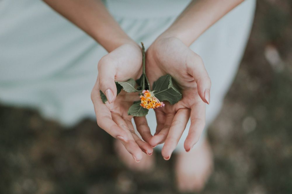 Binah - ABA Autism Therapy | ACT for Trauma and PTSD - child therapist in Pearl River, NY