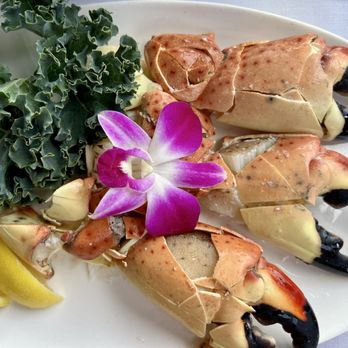 Billy's Stone Crab Restaurant - Seafood Near Me - Hollywood, Florida Billy's Stone Crab Restaurant - Seafood Near Me - Hollywood, Florida
