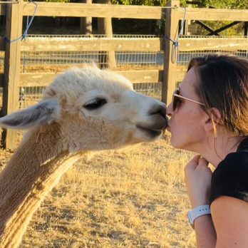 Back-to-Eden Ranch - Attraction Farms Near Me - Gilroy, California Back-to-Eden Ranch - Attraction Farms Near Me - Gilroy, California