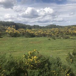 The Strathspey Railway - View on our train ride