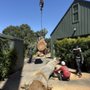 Photo of Natural Concept Tree Care