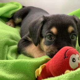 Baby Wilbur Baby Wilbur