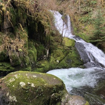Sweet creek trail - Hiking Near Me - Mapleton, Oregon Sweet creek trail - Hiking Near Me - Mapleton, Oregon