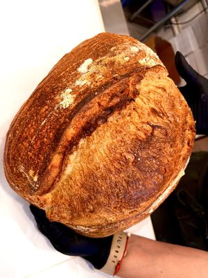 Caracas Bakery Coral Gables by null