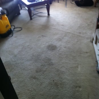 Go Dri Carpet Cleaning - Before - Carpet Cleaning Near Me