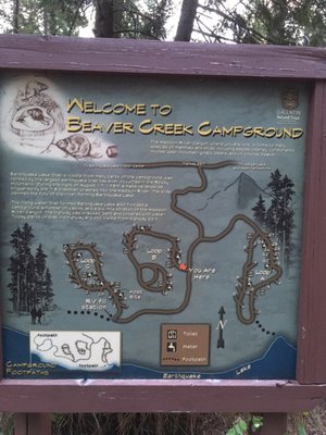Beaver Creek Campground by null