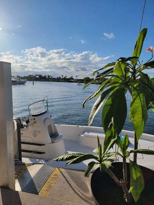 Black Point Ocean Grill by null