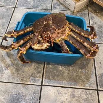 Kwan Luck Restaurant - King crab - Chinese Near Me - Vancouver, British Columbia Kwan Luck Restaurant - King crab - Chinese Near Me - Vancouver, British Columbia