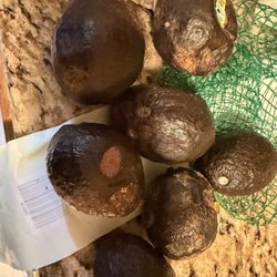 Albertsons - Rotten avocados given