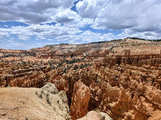 Bryce Amphitheater by null