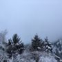 Photo of Tumwater B&B