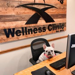 Two Roads Wellness Clinic - Mya, a Frenchie bulldog, is an emotional support animal at our Champaign office. She loves giving snuggles and kisses!