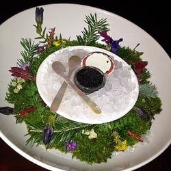 Red Maple Catering