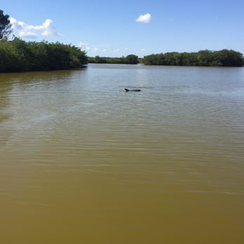 Cocoa Beach Dolphin Tours - Boating Near Me - Cocoa Beach, Florida Cocoa Beach Dolphin Tours - Boating Near Me - Cocoa Beach, Florida