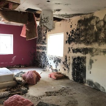 Mold Neutralizers - A neglected mold infested master bedroom - Environmental Testing Near Me - Mesa, Arizona