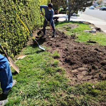 Trees Unlimited - Tree Services Near Me Trees Unlimited - Tree Services Near Me