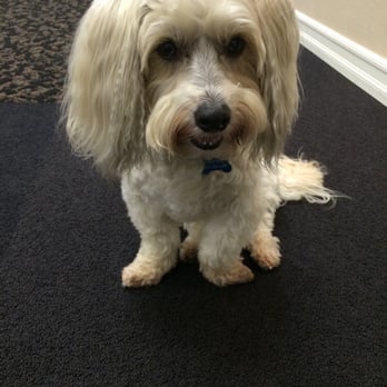 New Wealth Advisors Club - The NWAC mascot! - Real Estate Services Near Me - Irvine, California New Wealth Advisors Club - The NWAC mascot! - Real Estate Services Near Me - Irvine, California