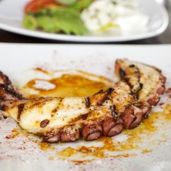 The Hill - Grilled octopus