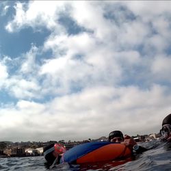 Fins and Foam Freediving