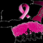 Photo of The Pink Queen Foundation