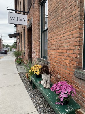 Willa's by null