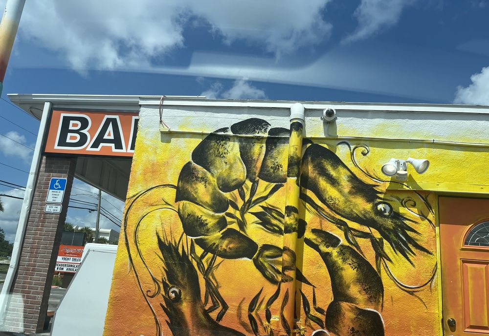 ANGLER 360 BAIT TACKLE AND APPAREL Updated October 2024 24 Photos