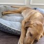 Petfolk Veterinary & Urgent Care