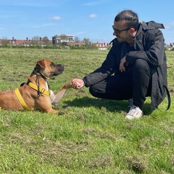 Offleash K9 Dog Training - The trust Andrea (Offleash K9) established between them was amazing. No one could ever come so close and do this with Rocco - Pet Training Near Me - London, XGL