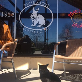 White Rabbit Coffee Co - Don't let his unamused face fool you, he has a kind light in his eyes. - Coffee & Tea Near Me - Yucaipa, California White Rabbit Coffee Co - Don't let his unamused face fool you, he has a kind light in his eyes. - Coffee & Tea Near Me - Yucaipa, California