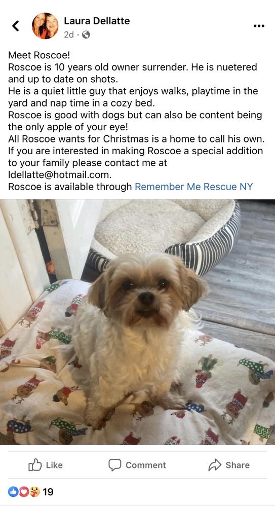 REMEMBER ME RESCUE NY Updated October 2024 29 Photos & 29 Reviews