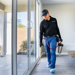Insectek Pest Solutions