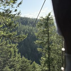 Timberline Adventures - Final line from the starting point.
