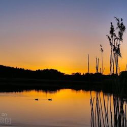 Maisinger See