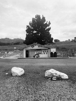 Abalone Cove Park by null