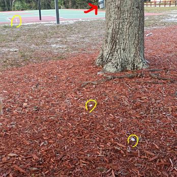 Timber Ridge Park - More garbage left behind by basketball team practicing, despite trash cans available. - Parks Near Me - Deltona, Florida Timber Ridge Park - More garbage left behind by basketball team practicing, despite trash cans available. - Parks Near Me - Deltona, Florida