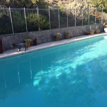 Steve Vaughan Pool & Spa - Woo hoo! - Pool Cleaners Near Me Steve Vaughan Pool & Spa - Woo hoo! - Pool Cleaners Near Me