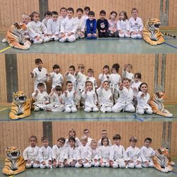 Kampfsportschule Aarau - Karateschule - Bonsai-Karate (4-5 Jahre) in Aarau