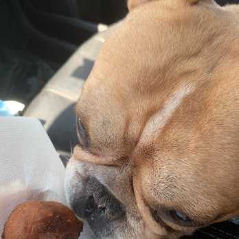 Wienerschnitzel - We love their mini corn dogs ! - Fast Food Near Me - Midvale, Utah Wienerschnitzel - We love their mini corn dogs ! - Fast Food Near Me - Midvale, Utah