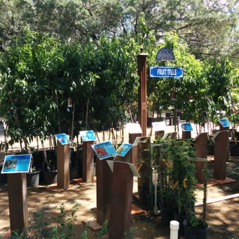 Rainbow Gardens - Nurseries & Gardening Near Me - San Antonio, Texas