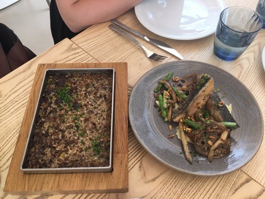 Bocam - Restaurant Figueres by null