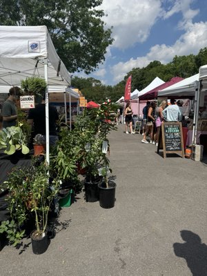 Memorial Villages Farmers Market by null