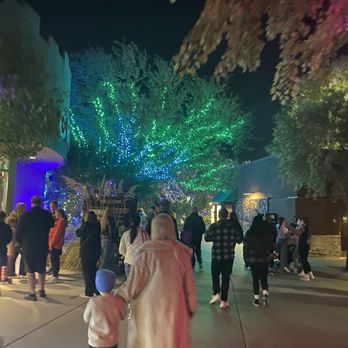 Phoenix Zoo - Lights - Zoos Near Me - Phoenix, Arizona